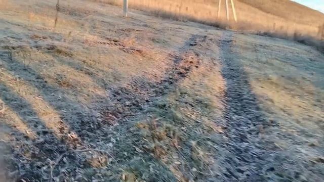 Сажаю чеснок 25 соток вручную. В основном однозубка ложная выросшая из падалицы прошлого года