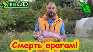 ЧТО ОБЯЗАТЕЛЬНО НАДО СДЕЛАТЬ В ЯГОДНОМ САДУ! Не пропустите этот важный этап ухода за смородиной.
