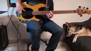 Muse - Plug In Baby (Bass Cover) - Tabs in description