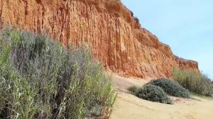 Falesia Beach , Algarve - the 3rd beach in Europe !