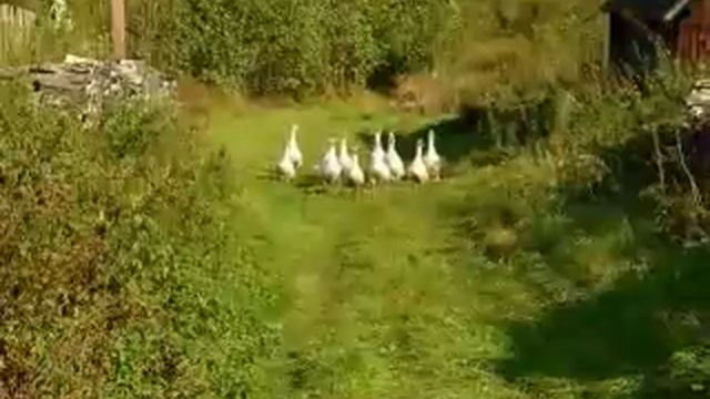 С добрым утром! смотреть онлайн