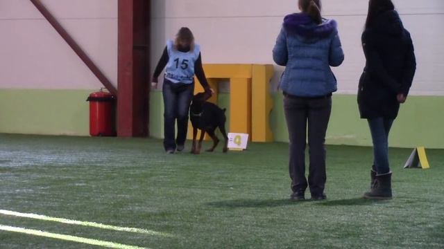 Доберман Анлит Рилайнс Яшма Шельдишева Елена ралли обиденс РО1 дебют 2 трасса 24.02.18 смотреть онлайн