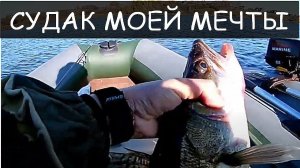 Здоровый судак клюнул на здоровую силиконовую приманку
