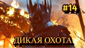 Ведьмак 3 Дикая охота. Прохождение игры на пк на Русском #14