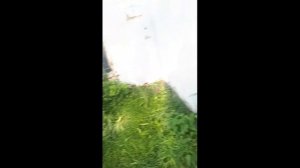 Удлинение дышла лодочного прицепа