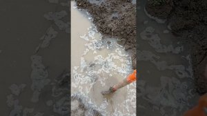 Спасаем сад черешни на подвое ВСЛ-2 и ЛЦ- 52 после продолжительных дождей