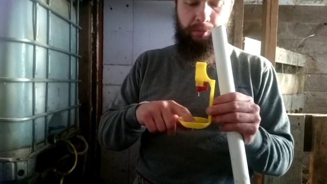 Ниппельные поилки для кур, уток и коз смотреть онлайн