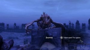 Skyrim ٠ Реакция Дюрневира на Довакина