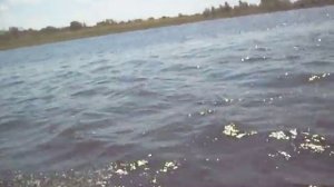 Глиссирование,лодка ProfMarine 2,8М на моторе Mercury 2,5л.с.