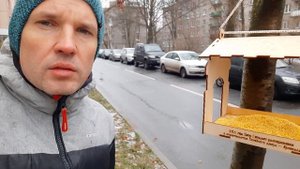 Не кладите пшено в кормушки! Каким кормом можно кормить птиц зимой?