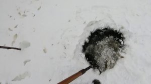 Я ЕЁ ЕЛЕ ПОДНЯЛ! Морда ПОЛНАЯ ЭТИМИ ГАДАМИ! СТОЛЬКО РОТАНА Я НИКОГДА НЕ ЛОВИЛ. РЫБАЛКА НА МОРДУШКИ.