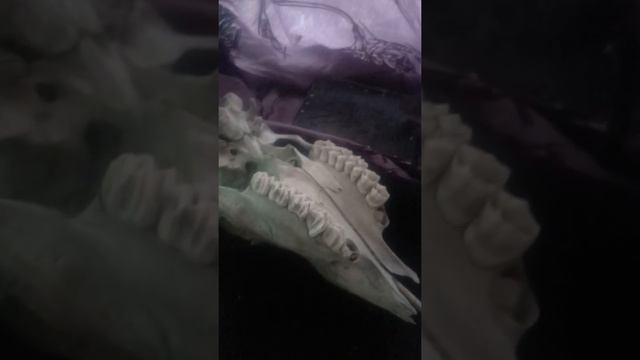 Порча, Сглаз, Перекрытие дорог. Понятия, отличия, говорим. смотреть онлайн