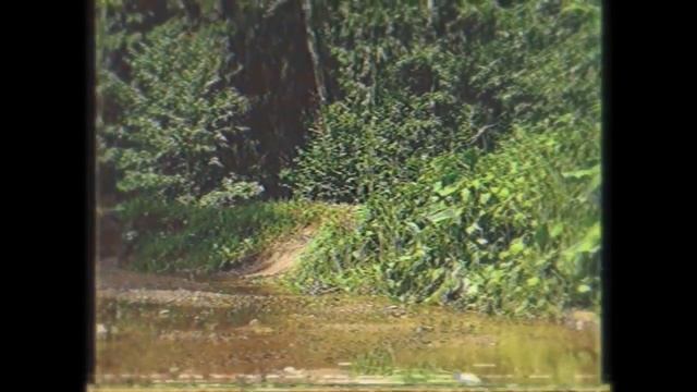 СТАРОЗУБОВ "ТЕТ-А-ТЕТЫ С ЛЕТОМ" смотреть онлайн