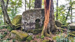 Видео 73 (часть 1) - Дольмен-саркофаг и огромная крышка (Солохаул)