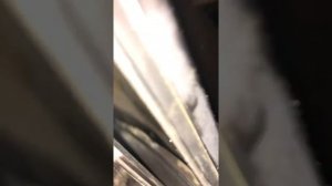 устранение бесячего скрипа стеклоподъемника w211