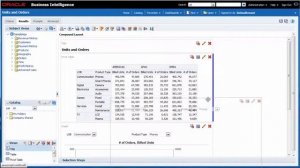 D BICS Viewing Data in Different Ways Using Oracle BI Cloud Service