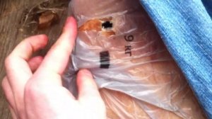 Т12, ПМ-Т, Гроза 02 V4 VS САЛО