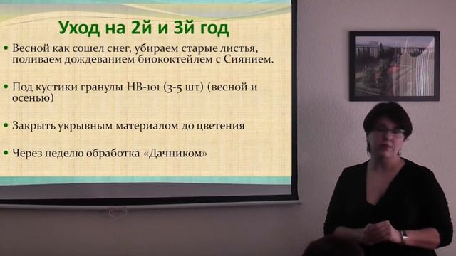 Семинар 