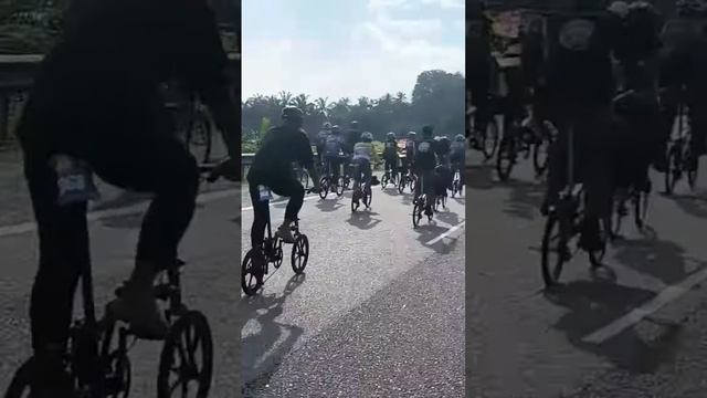 Morning ride #shorts #cycling #hmblk смотреть онлайн
