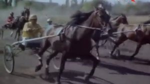 Фильм «Нелу» на румынском языке с русскими субтитрами онлайн «Nelu» - film românesc online subtitra