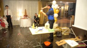 Научное шоу крио с сухим льдом! • FANTEZY.RU Праздник в научном стиле