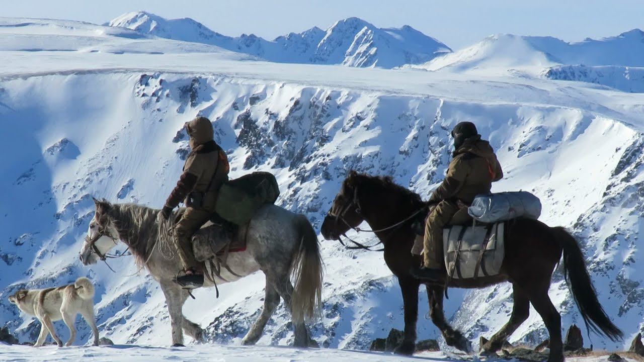 Зона покоя Укок. Снежный Барс. В горах Южного Алтая. Конная экспедиция в горы Сибири. Горный Алтай. смотреть онлайн