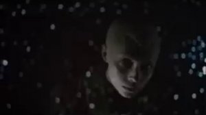 А. Рыбников .Цветы