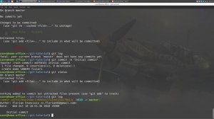 #03 - Git Tutorial [Romana] - Primul commit