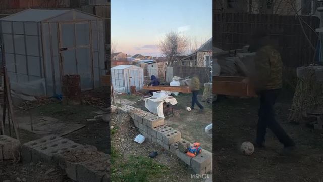 Питомник растений. Начало