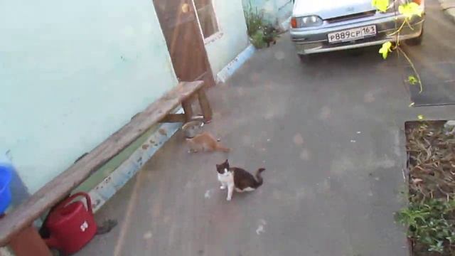 Автоматизация наполнения бака из скважины смотреть онлайн