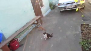 Автоматизация наполнения бака из скважины