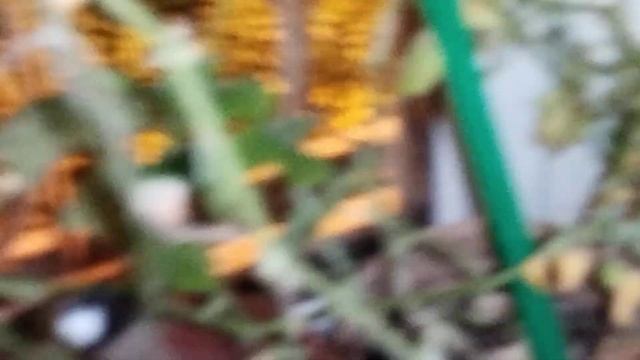 тест под завершение. закрытия сезона. смотреть онлайн