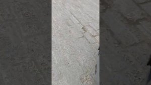 газель бизнес не крутит стартер и не работаеть бензиннасос