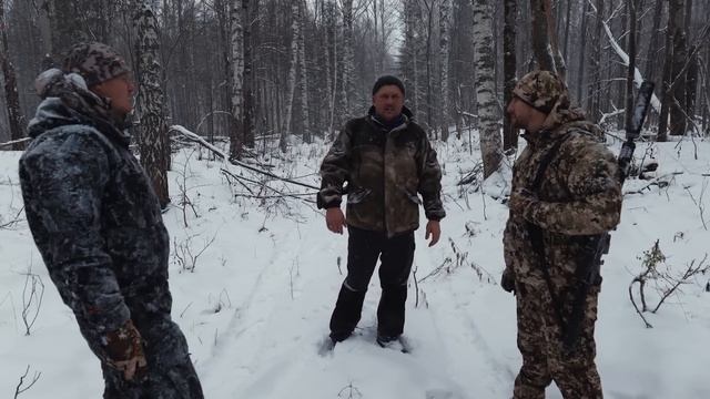 ПЕРВАЯ В ЭТОМ ГОДУ ЗАГОННАЯ ОХОТА НА УРАЛЕ. С ЛАНКАСТЕРОМ НА ЛОСЯ. ЕКАТЕРИНБУРГ BALISTICA SHOP. смотреть онлайн