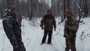 ПЕРВАЯ В ЭТОМ ГОДУ ЗАГОННАЯ ОХОТА НА УРАЛЕ. С ЛАНКАСТЕРОМ НА ЛОСЯ. ЕКАТЕРИНБУРГ BALISTICA SHOP.