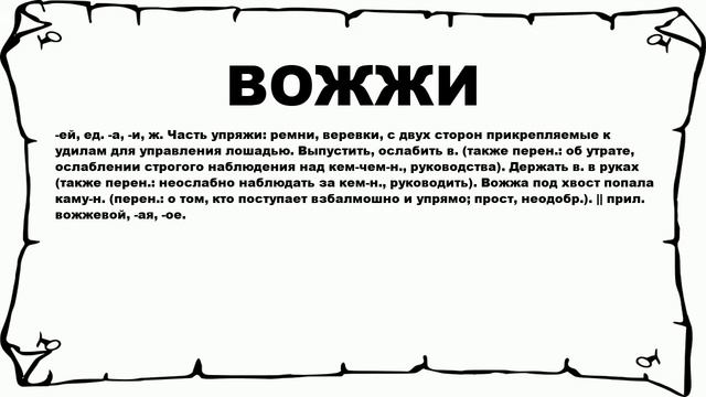ВОЖЖИ - что это такое? значение и описание