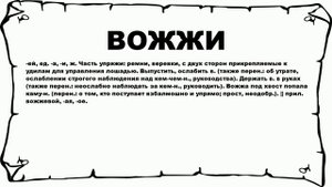ВОЖЖИ - что это такое? значение и описание