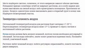 Экзакум. Уход в домашних условиях. Выращивание из семян. Когда сеять. Фото видов.