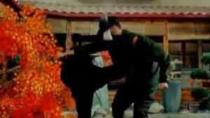 Джет Ли против японских мастеров каратэ