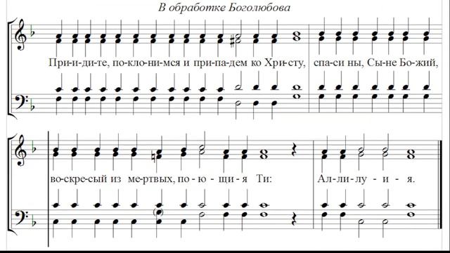 🎼 Приидите поклонимся... Боголюбова (бас) смотреть онлайн