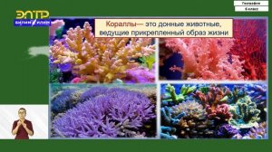 6-класс  | География | Жизнь в океане - морские растения и животные