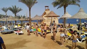 Аниматоры на пляже dreams beach resort