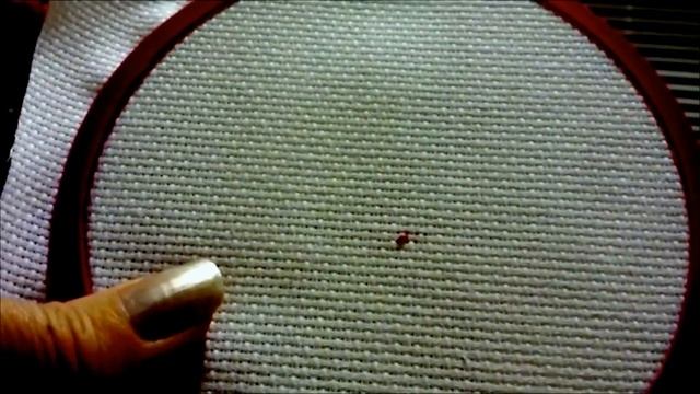 Cross Stitch Tutorial for Beginners #2 - Stitching a Cross Stitch