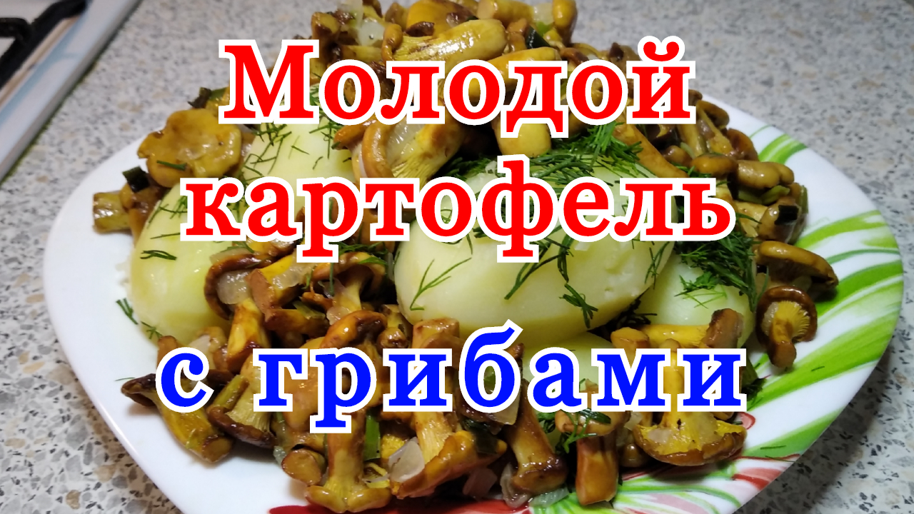 Как приготовить молодую картошку. Как сварить картошку в кастрюле вкусно с грибами. смотреть онлайн