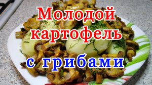 Как приготовить молодую картошку. Как сварить картошку в кастрюле вкусно с грибами.