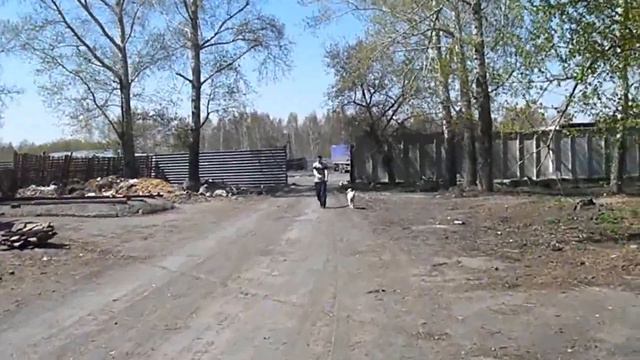Леха и Влад штурмуют приют для животных )))