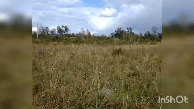 Как наши мужчины ходили по грибы/Влог о жизни в деревне смотреть онлайн