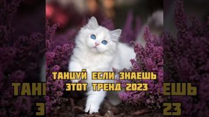 Танцуй если знаешь этот тренд 2023 года 🔥Танцуй тренды 🔥Тикток тренды🔥