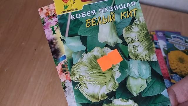 100%ИЗБАВЛЯЮСЬ ОТ #ОДНОЛЕТНИКОВ, ПЕРЕХОЖУ НА #МНОГОЛЕТНИКИ