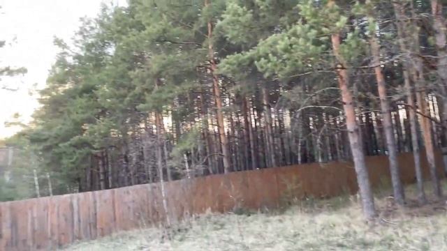 Как мы выбирали дом. Дача в сосновом лесу. смотреть онлайн